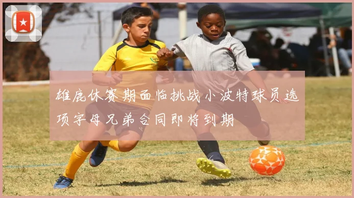 雄鹿休赛期面临挑战小波特球员选项字母兄弟合同即将到期